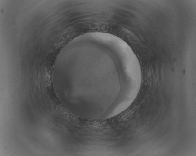 X0000067851013200604271639