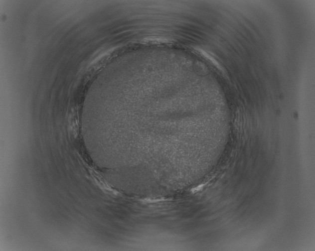 X0000067851015200604271639