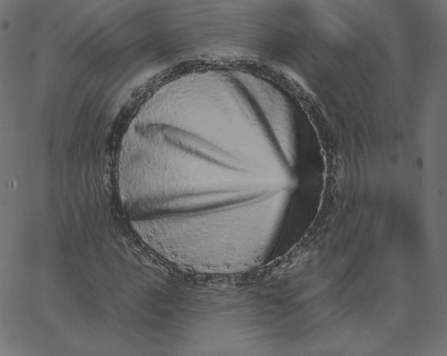 X0000067851016200604271639