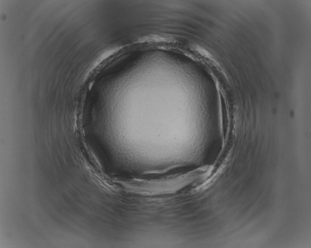 X0000067851017200604271639