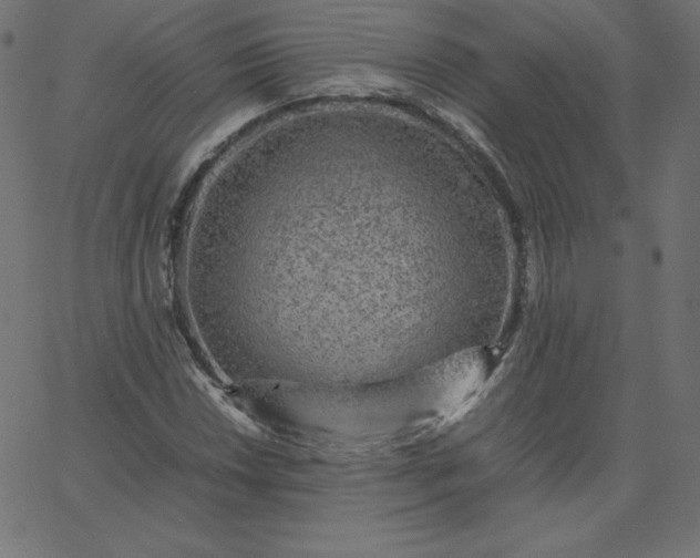 X0000067851018200604271639