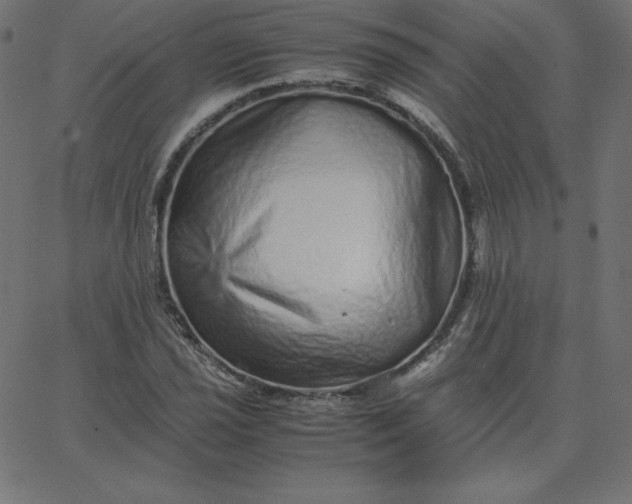 X0000067851021200604271640