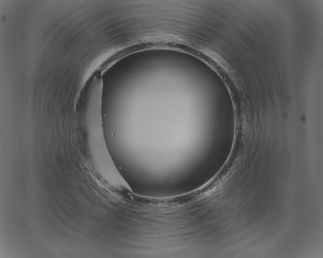 X0000067851022200604271640