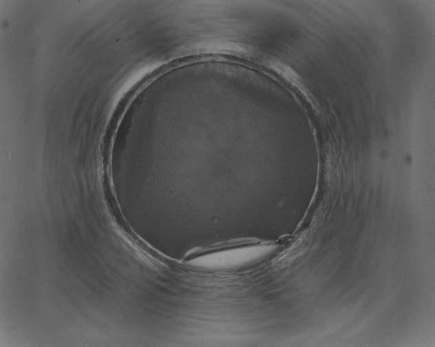 X0000067851024200604271640