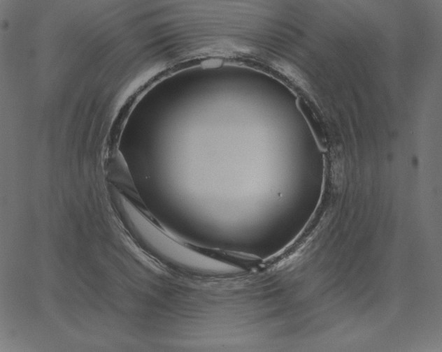 X0000067851026200604271640