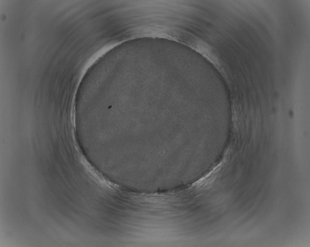 X0000067851028200604271640