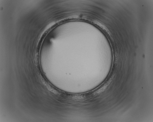 X0000067851029200604271640