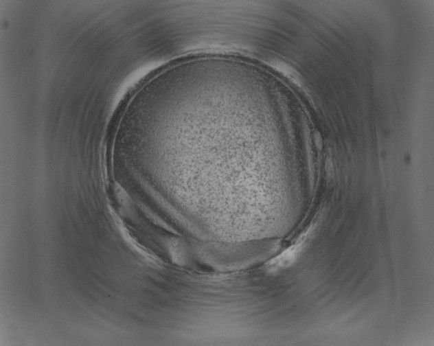 X0000067851030200604271640