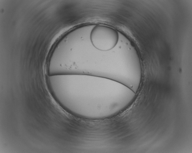 X0000067851032200604271640