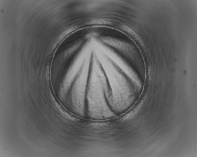 X0000067851033200604271640