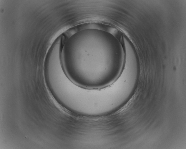 X0000067851034200604271640