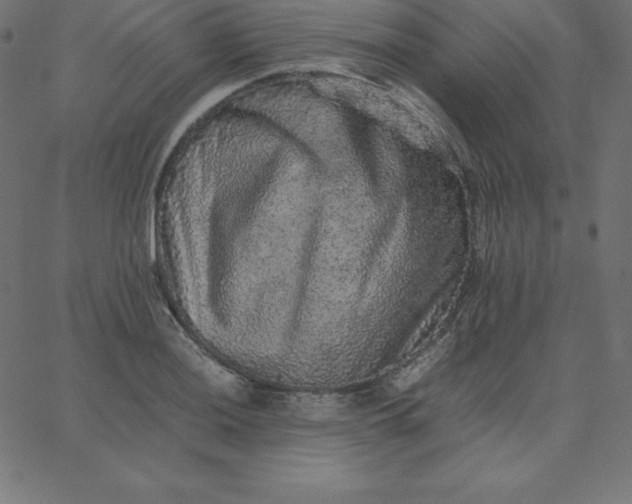 X0000067851036200604271640