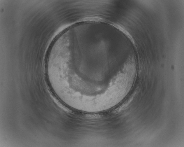 X0000067851037200604271640