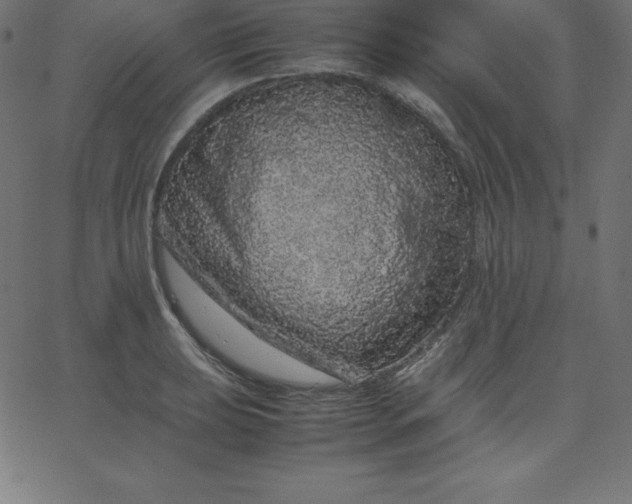 X0000067851039200604271640