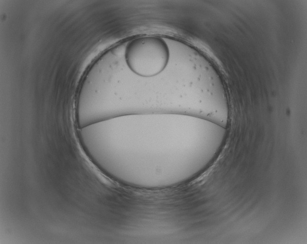 X0000067851040200604271640