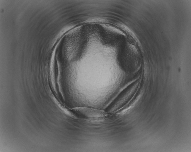 X0000067851041200604271640