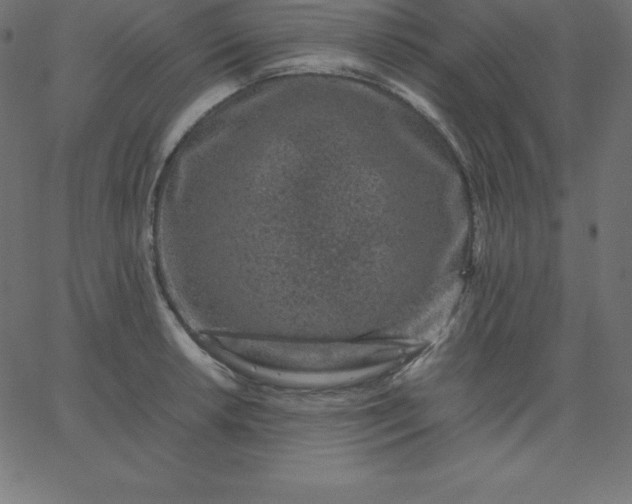 X0000067851042200604271640