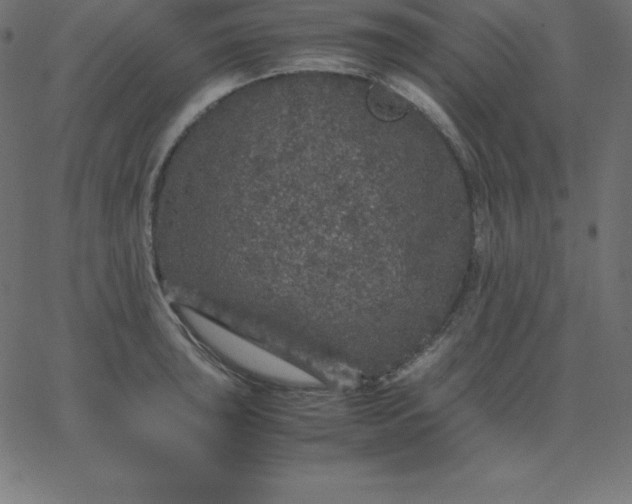 X0000067851043200604271640