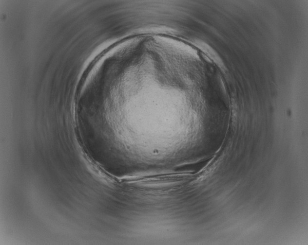 X0000067851044200604271640