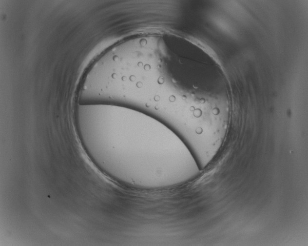 X0000067851045200604271640