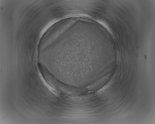 X0000067851046200604271640