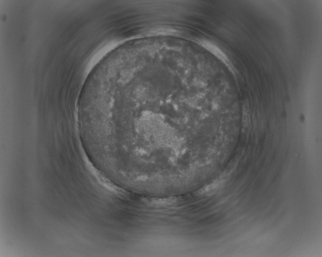 X0000067851047200604271640