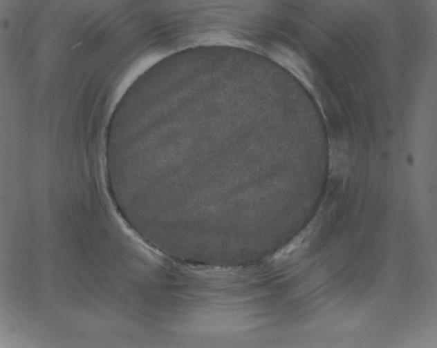 X0000067851048200604271640