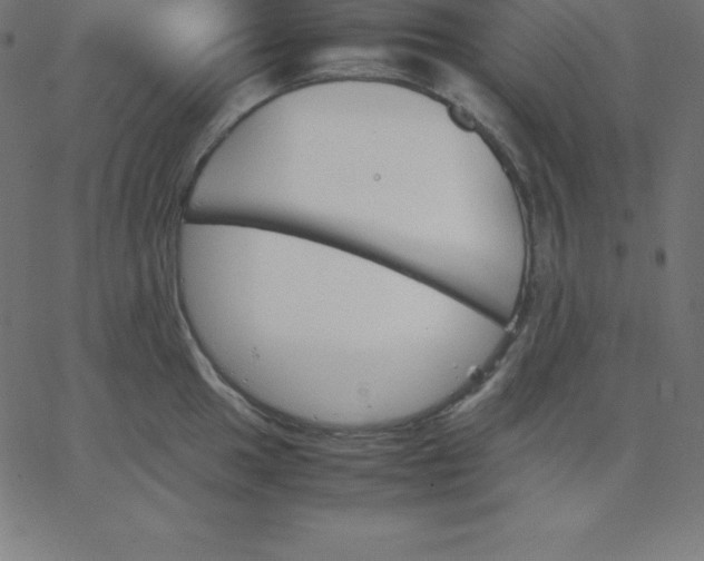 X0000067851049200604271640