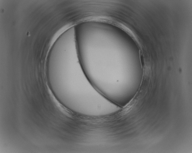 X0000067851050200604271640