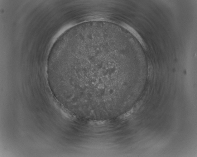 X0000067851051200604271640