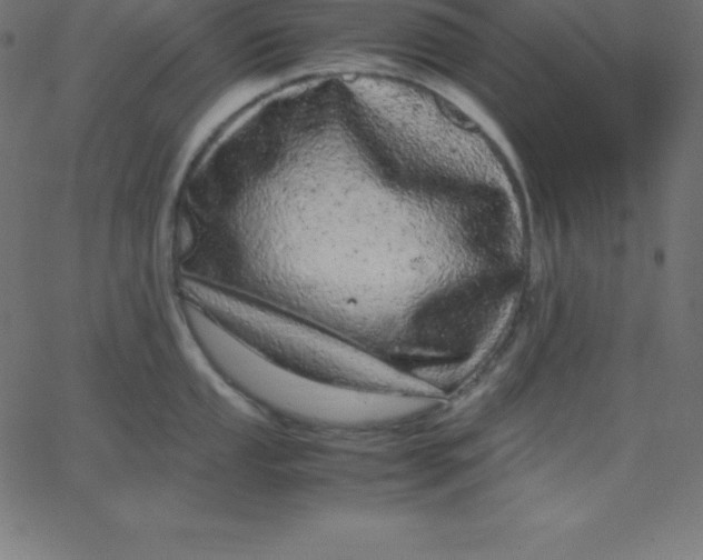 X0000067851053200604271640