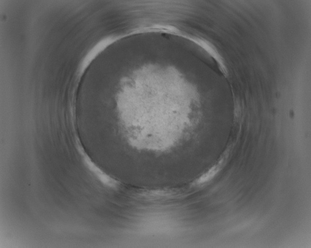 X0000067851054200604271640