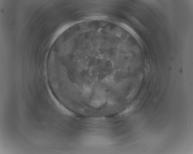 X0000067851055200604271640