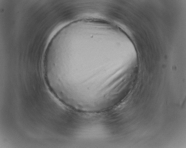 X0000067851056200604271640