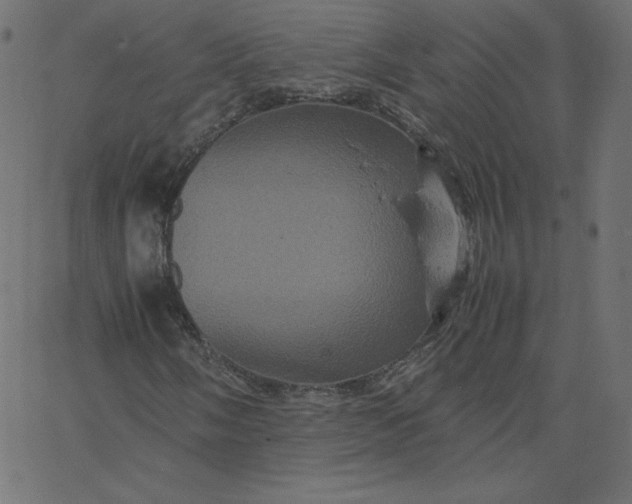 X0000067851058200604271639