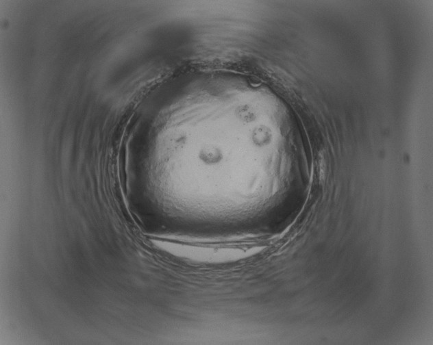 X0000067851059200604271639