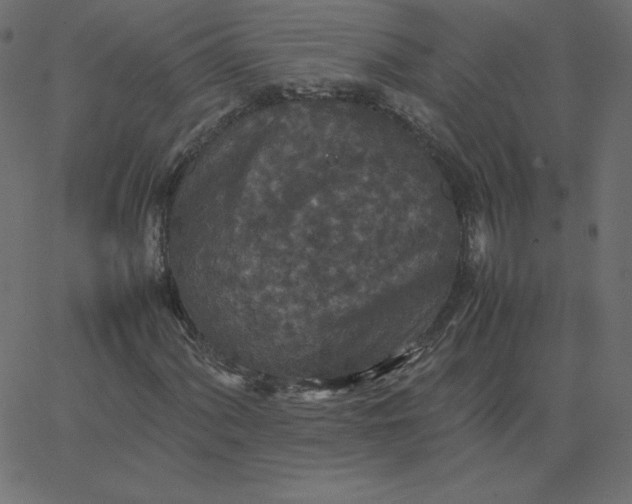 X0000067851060200604271639