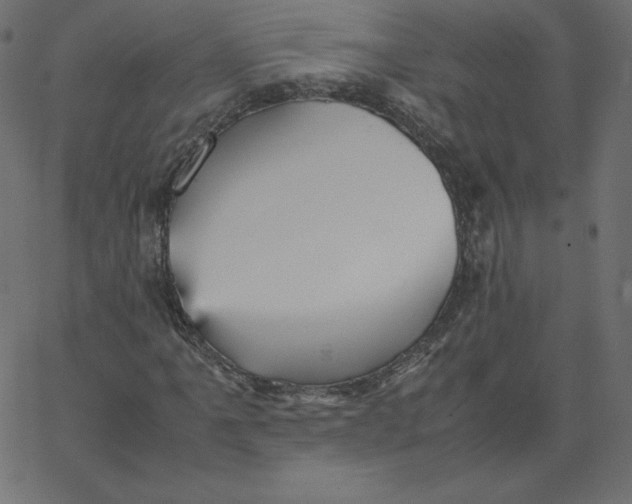 X0000067851061200604271639