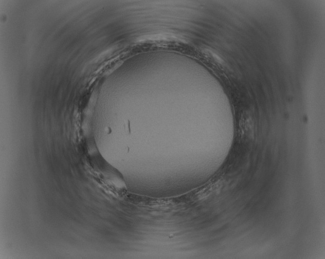 X0000067851062200604271639