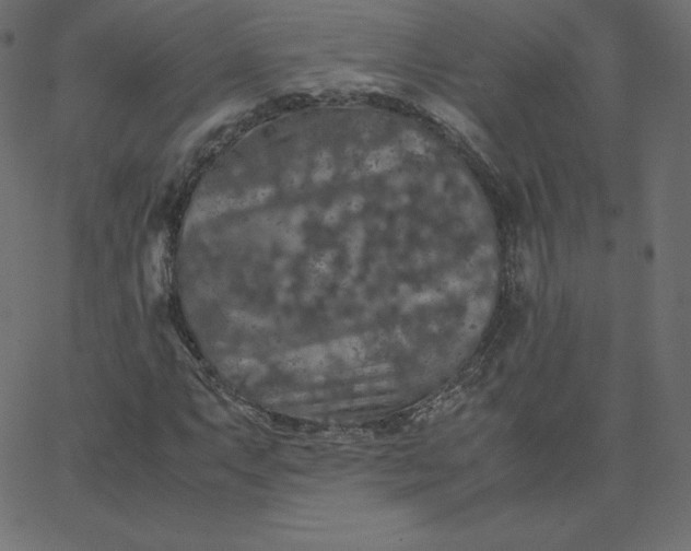 X0000067851063200604271639