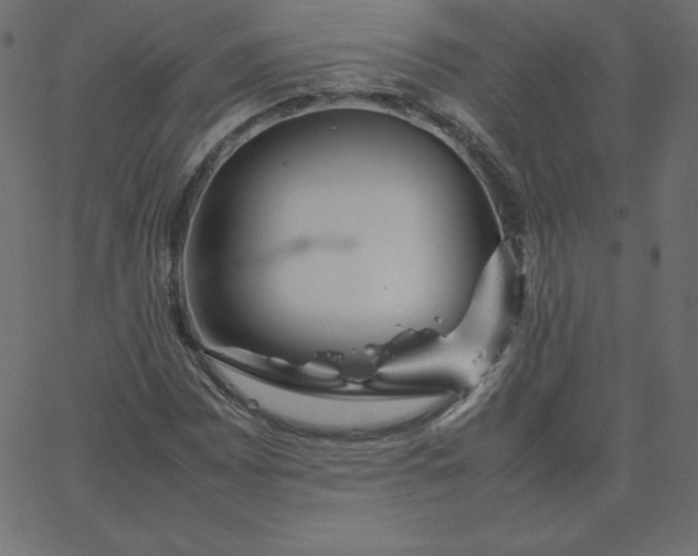 X0000067851065200604271639