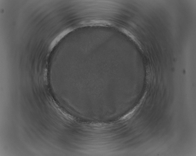 X0000067851066200604271639