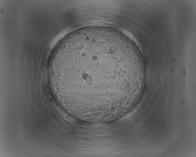 X0000067851067200604271639