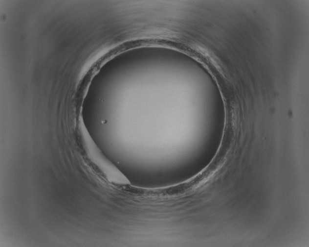 X0000067851069200604271639