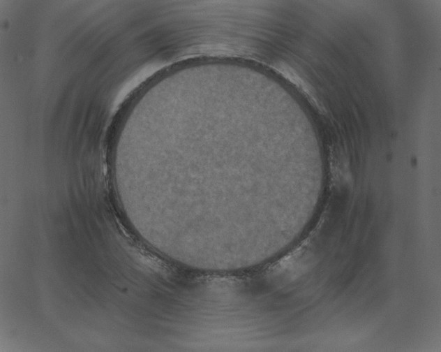 X0000067851070200604271639