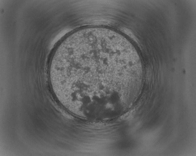 X0000067851071200604271639