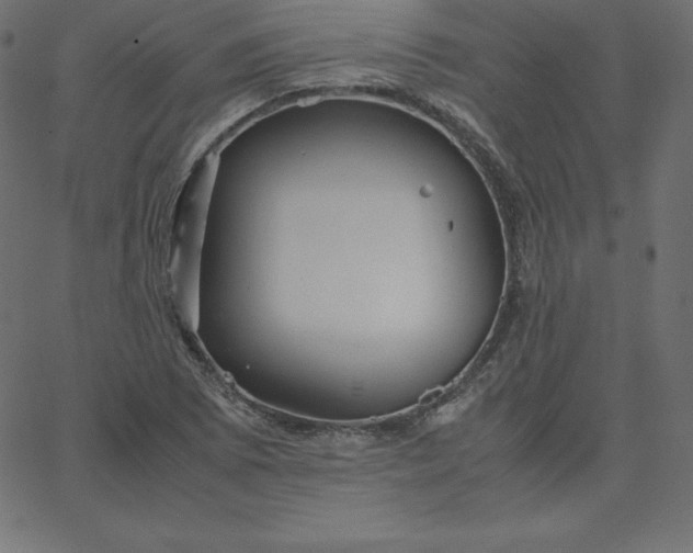 X0000067851073200604271639