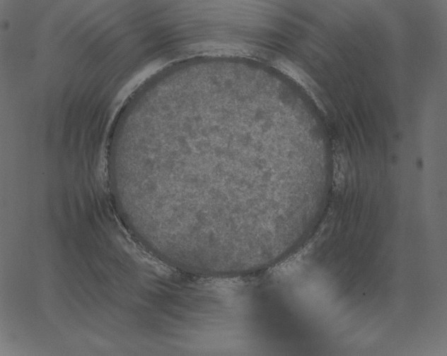 X0000067851074200604271639