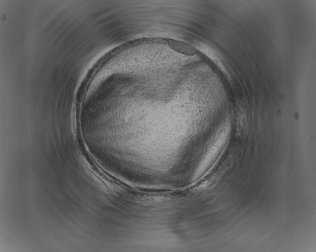 X0000067851076200604271639