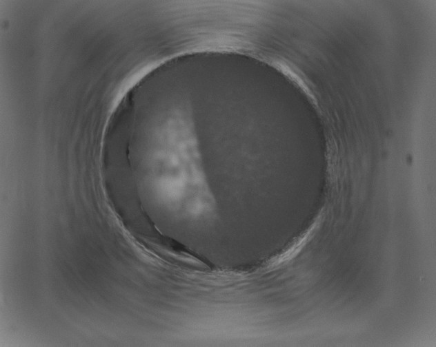 X0000067851077200604271639